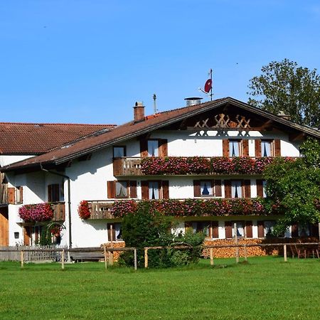 Bauernhof Kotz Bed & Breakfast Brunnen Ngoại thất bức ảnh